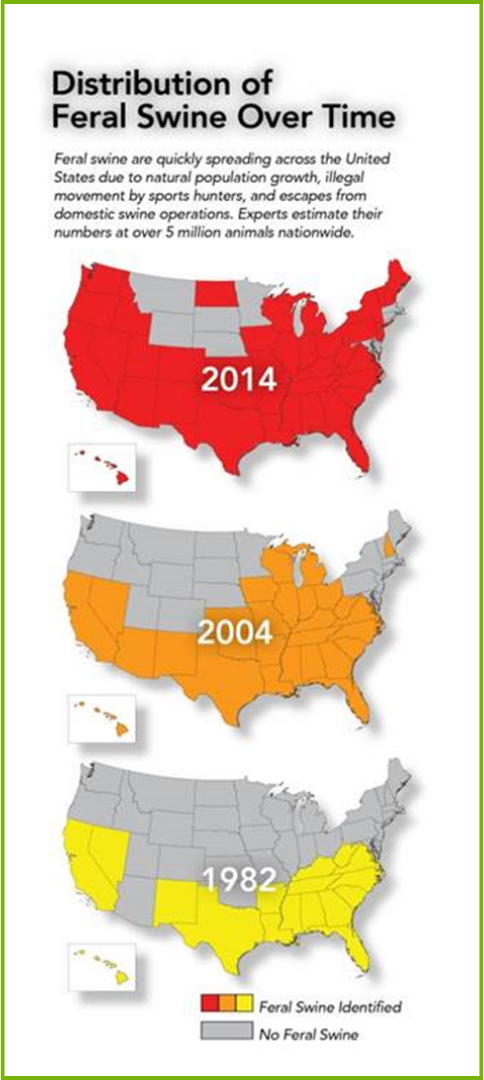 distribution-of-feral-swine